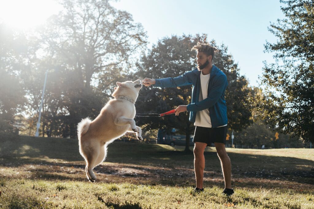 How to stop a dog from jumping up on guests