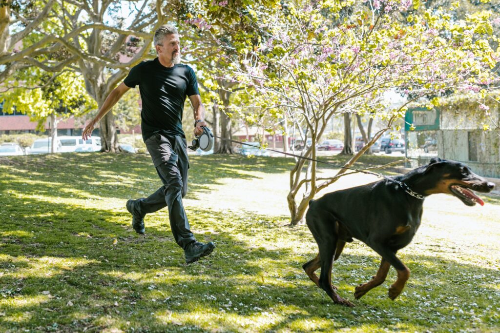 How to Stop A Dog From Pulling on Leash