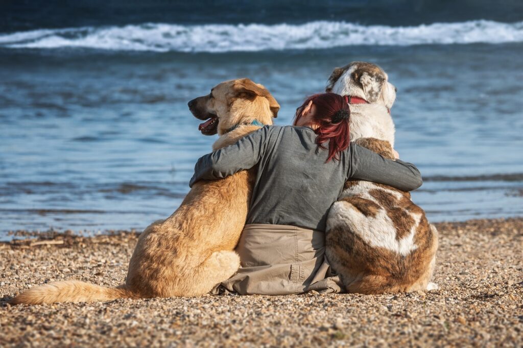 Doggie beach near me