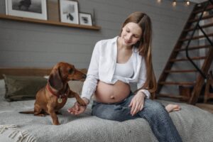 Can dogs sense pregnancy and become protective