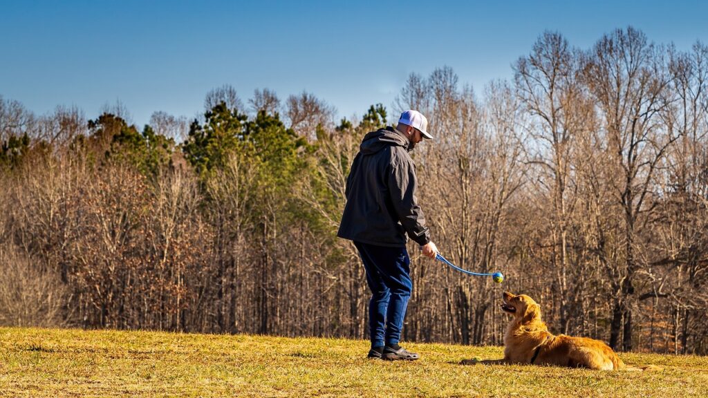 Easy tricks to teach your dog