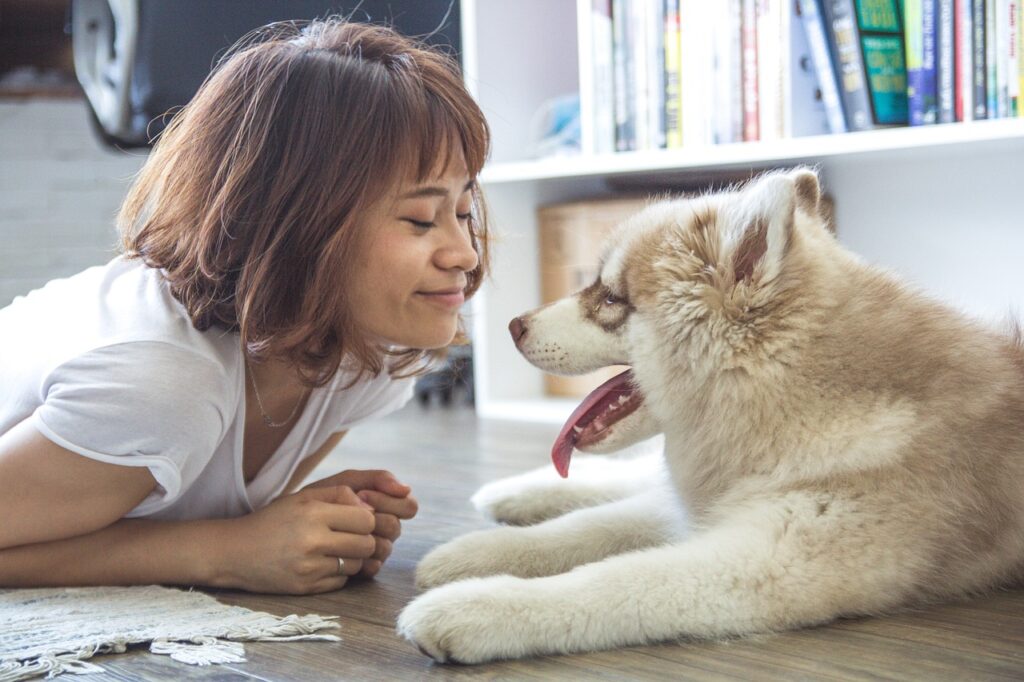 Can dogs understand humans