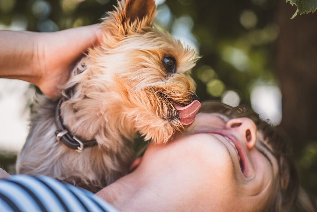 Why does my dog lick me so much