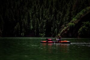 Kayaking With a Dog 