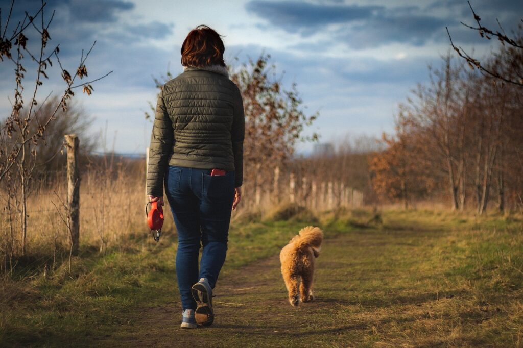 Off Leash K9 Training