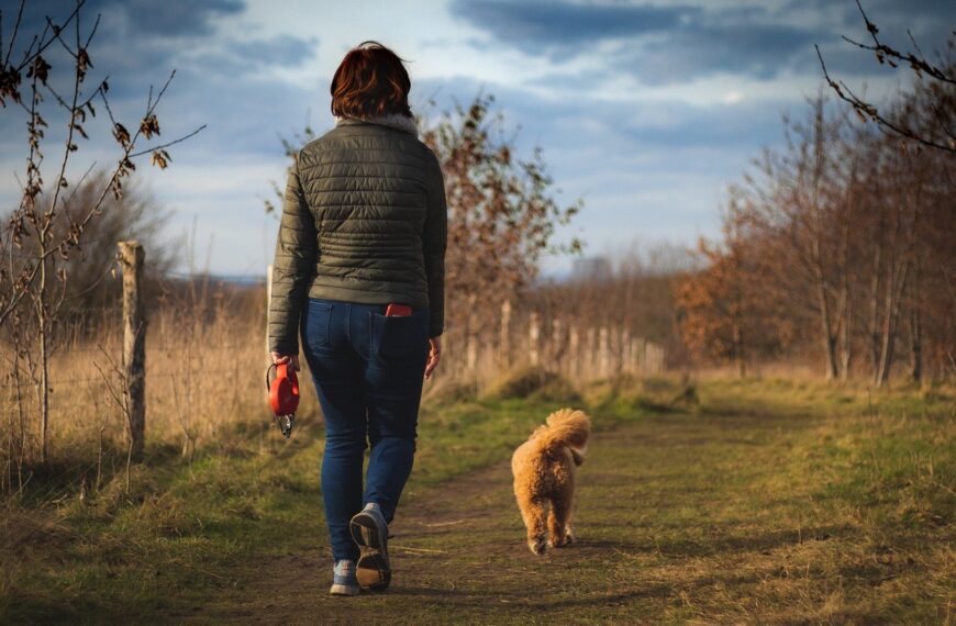 Off Leash K9 Training