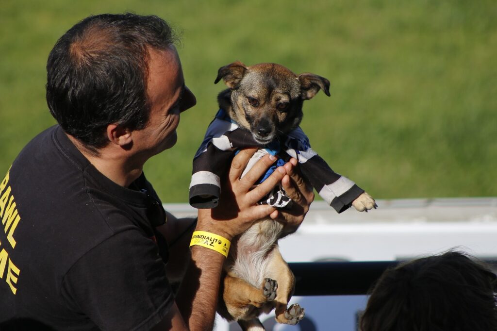 Therapy Dog Training