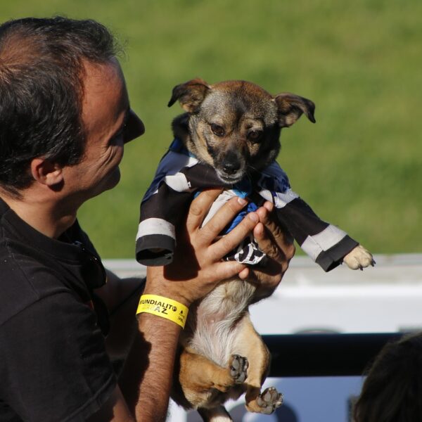 Therapy Dog Training