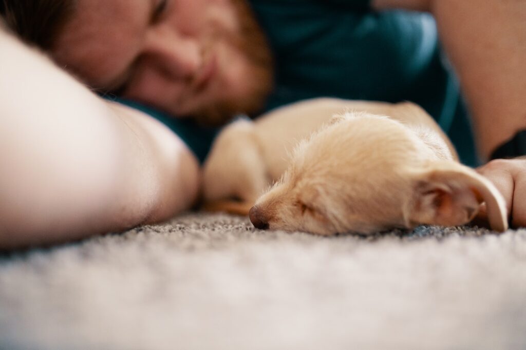 Why Do Dogs Sleep With Their Bum Facing You