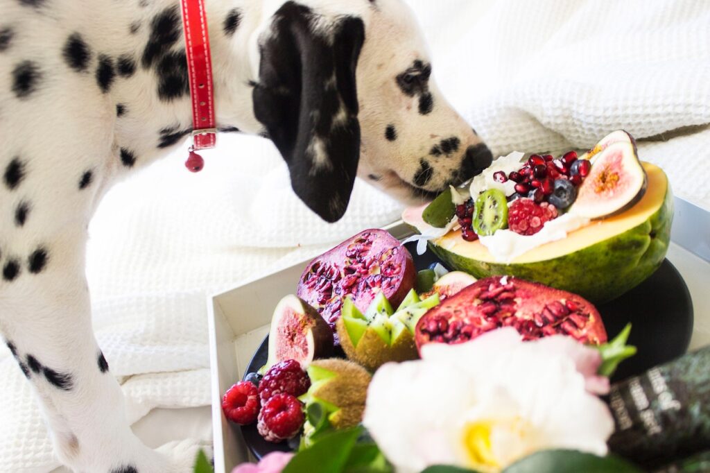 What Vegetables Are Good for Dogs