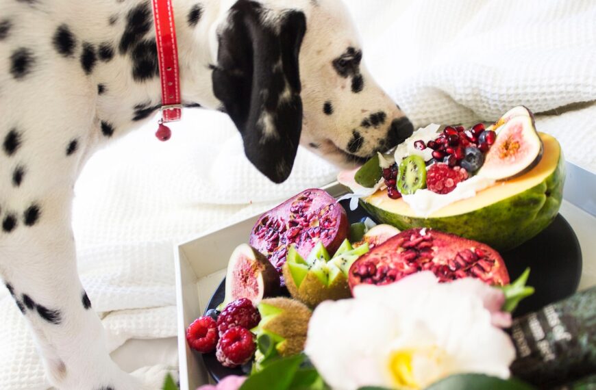 What Vegetables Are Good for Dogs