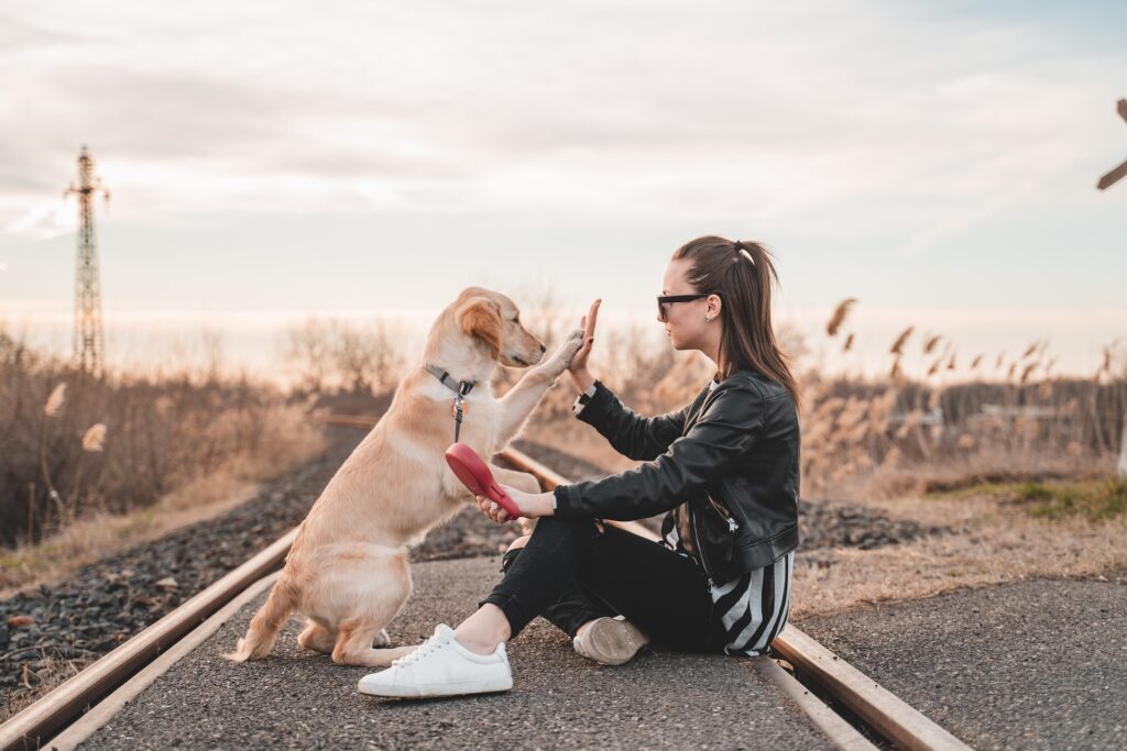 Dog behavioral trainer