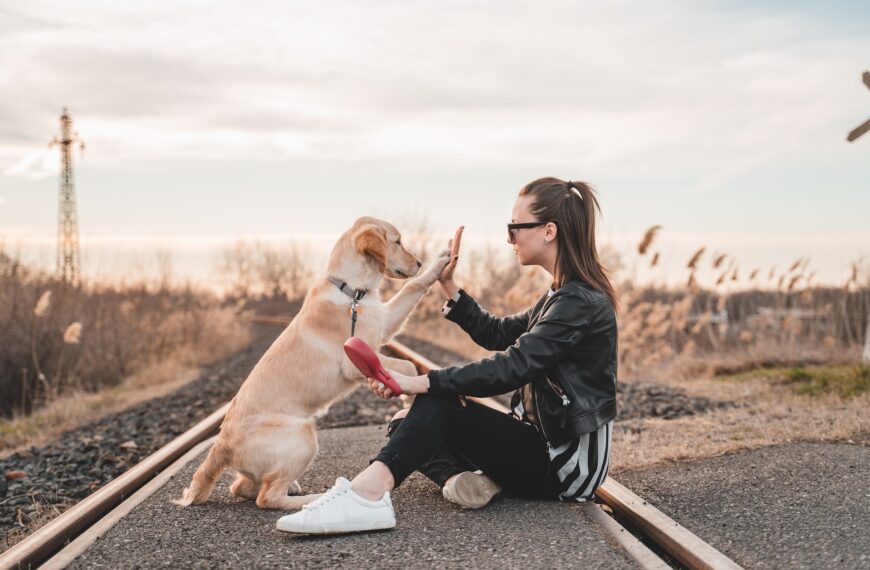 Dog behavioral trainer