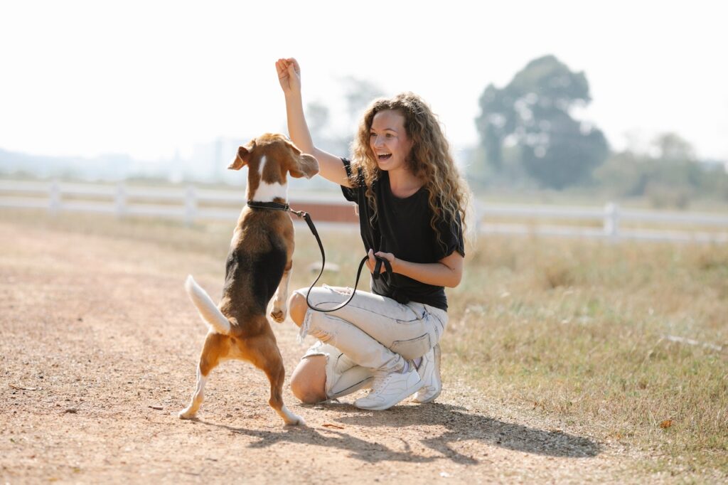 Dog behavioral training